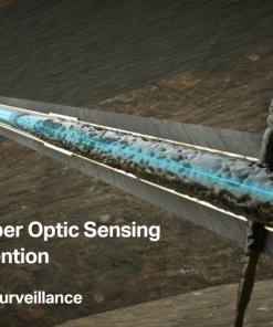 Distributed Fiber Optic Sensing (DFOS) Intervention